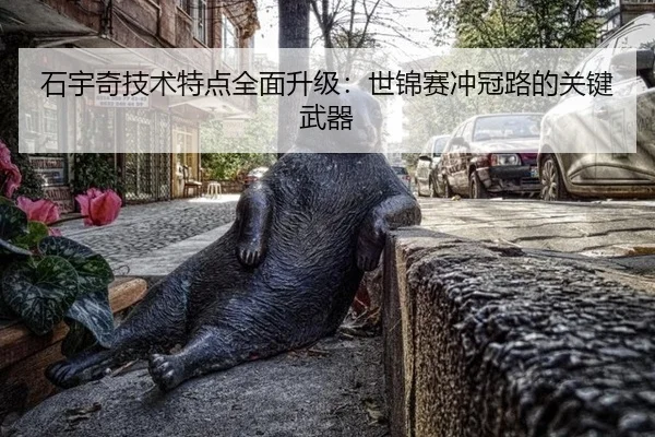 石宇奇技术特点全面升级：世锦赛冲冠路的关键武器