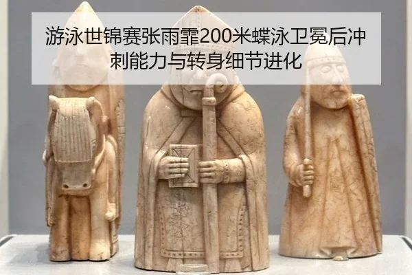 you-yong-shi-jin-sai-zhang-yu-fei-mi-die-yong-wei-mian-hou-chong-ci-neng-li-yu-zhuan-shen-xi-jie-jin-hua-2-929.jpg