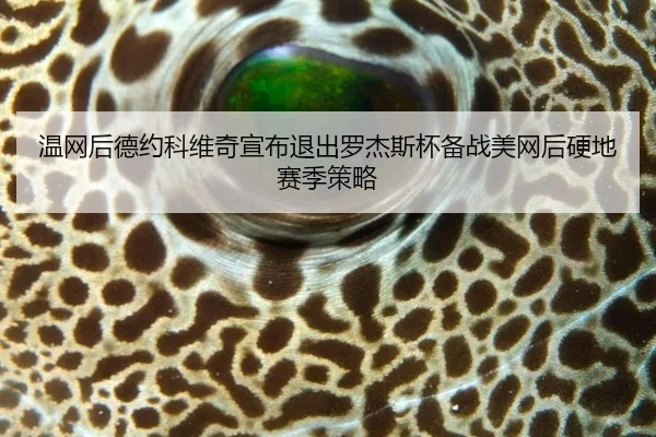 温网后德约科维奇宣布退出罗杰斯杯备战美网后硬地赛季策略